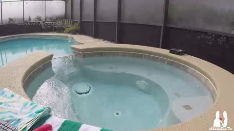 Adam And Eve online show from November 23, 2025, 6:08 pm