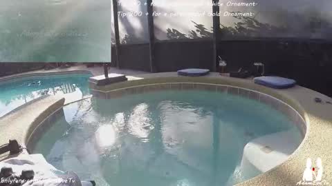 Adam And Eve online show from December 20, 2025, 7:54 pm