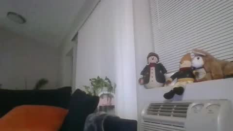 Snapshot of adamishere1 chatting on March 1, 2026, 1:07 am Britishadam online show from March 1, 2026, 1:07 am