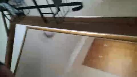 Snapshot of adamlucas54321s773712 chatting on October 8, 2025, 1:36 am adamlucas54321s773712 online show from October 8, 2025, 1:36 am