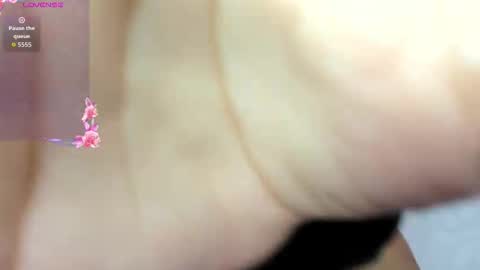 ADAMS Y NIKI online show from November 3, 2025, 12:39 pm