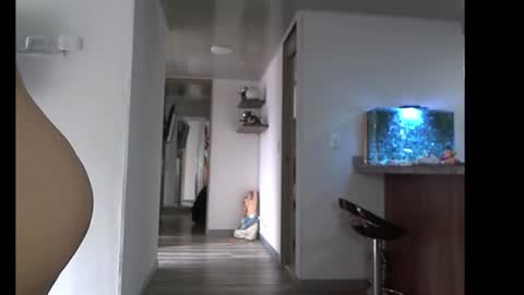 eva online show from February 10, 2026, 4:00 pm