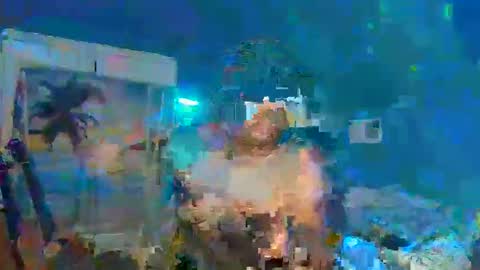 Adonis XDDDDDDDD Woody online show from December 31, 2024, 12:32 am