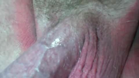 This is a temp room please follow excelsior62 by clicking the link below online show from December 23, 2024, 7:17 am