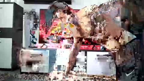 Adriano online show from December 28, 2024, 8:58 am