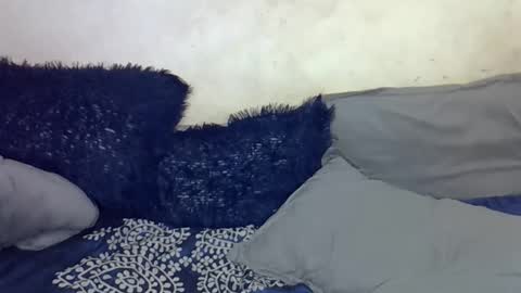 afrii_kity online show from April 17, 2026, 3:42 am