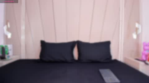 Snapshot of agatha_steel20 chatting on January 27, 2025, 7:13 pm Agatha Steel online show from January 27, 2025, 7:13 pm