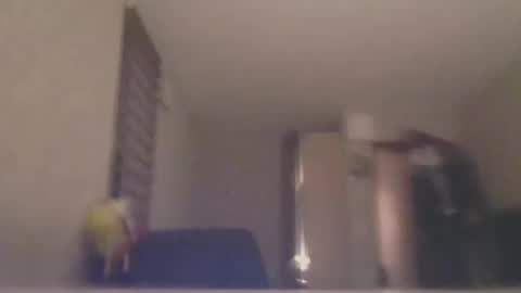 Snapshot of ahbehbi12 chatting on March 10, 2025, 7:40 pm ahbehbi12 online show from March 10, 2025, 7:40 pm