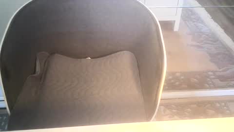 Ole online show from January 10, 2025, 9:34 am