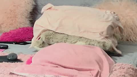 Aitanna Love online show from March 10, 2026, 6:29 am