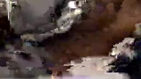 aj297914 online show from December 20, 2025, 7:59 am