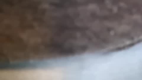 Snapshot of aj297914 chatting on February 17, 2026, 3:14 am aj297914 online show from February 17, 2026, 3:14 am