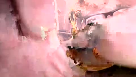 Snapshot of ajistightfeg chatting on October 1, 2025, 8:53 am Ajishigh online show from October 1, 2025, 8:53 am