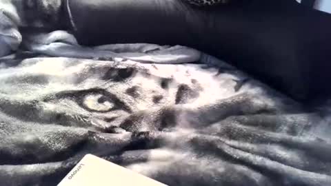 aken4it online show from April 2, 2026, 11:35 pm