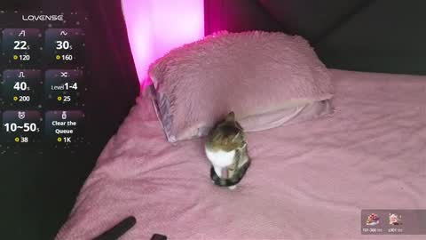 alahia online show from January 15, 2025, 2:17 am