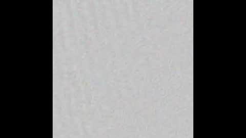 Alaia online show from November 11, 2025, 11:21 am