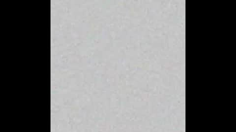 Alan Noir online show from March 13, 2026, 11:06 am