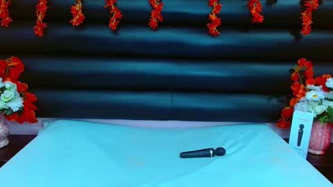 AlaSmith  online show from February 11, 2025, 2:03 am