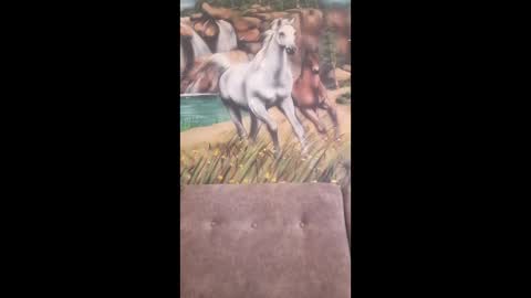 Snapshot of albina6543 chatting on February 16, 2026, 7:48 am albina online show from February 16, 2026, 7:48 am