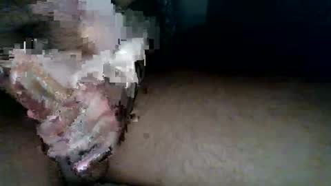 aldous_fuxley online show from February 20, 2026, 6:48 am