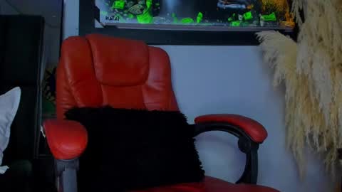 Snapshot of aleja_rogers996 chatting on December 1, 2024, 7:47 pm Alejandra online show from December 1, 2024, 7:47 pm