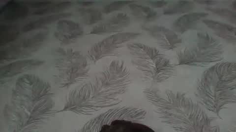 Aletta Oushen online show from January 12, 2025, 11:17 am