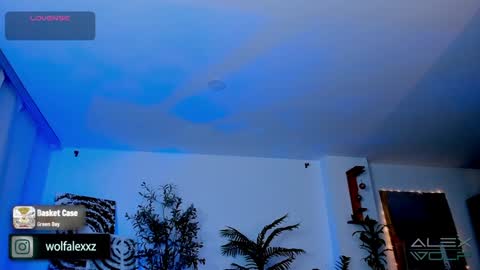 Alex Wolf online show from January 17, 2025, 5:21 am