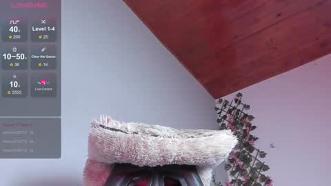 Dani online show from January 10, 2025, 8:51 am