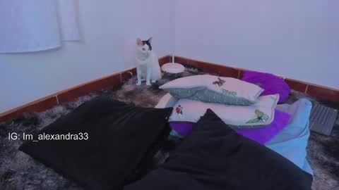 Snapshot of alexa_will chatting on March 31, 2026, 2:13 am alexa_will online show from March 31, 2026, 2:13 am