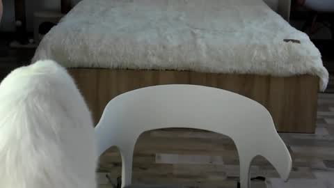 Alex online show from February 19, 2026, 4:30 am