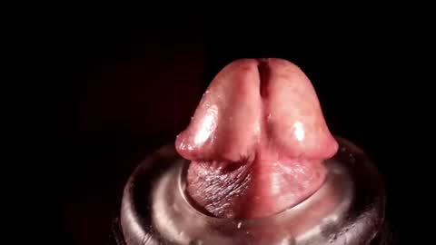 Snapshot of alexhoward chatting on March 3, 2026, 6:19 am alexhoward online show from March 3, 2026, 6:19 am