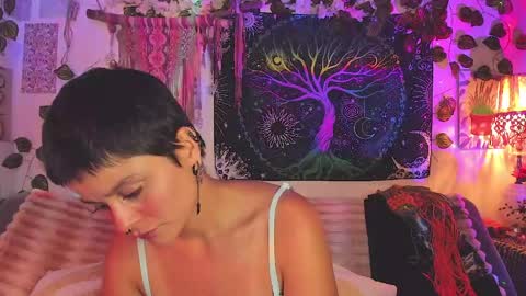 Alex online show from April 25, 2026, 2:14 am