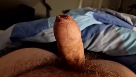 Snapshot of alfred2349 chatting on October 4, 2025, 11:36 pm alfred2349 online show from October 4, 2025, 11:36 pm