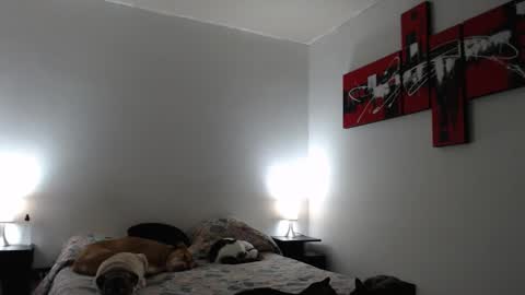 cami online show from March 12, 2025, 7:24 am