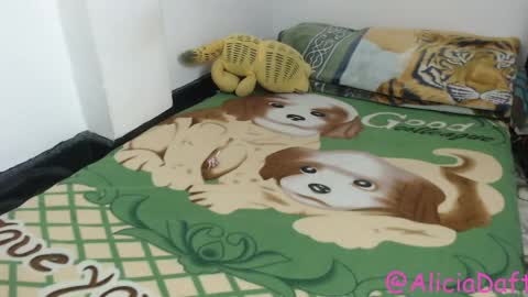 Alicia Aldara online show from April 9, 2026, 6:02 am