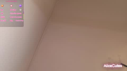 AliceCutes online show from February 1, 2026, 10:25 am