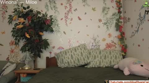Snapshot of aliceriverscam chatting on December 17, 2024, 9:16 pm Alice Rivers ---- Enter my public Discord-  online show from December 17, 2024, 9:16 pm
