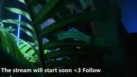 Snapshot of alicia_x_art chatting on December 2, 2024, 5:26 am Alicia Lici  online show from December 2, 2024, 5:26 am