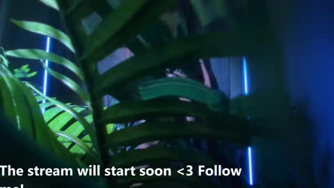 Snapshot of alicia_x_art chatting on January 2, 2025, 7:44 am Alicia Lici  online show from January 2, 2025, 7:44 am