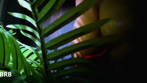 Snapshot of alicia_x_art chatting on January 2, 2025, 10:48 am Alicia Lici  online show from January 2, 2025, 10:48 am