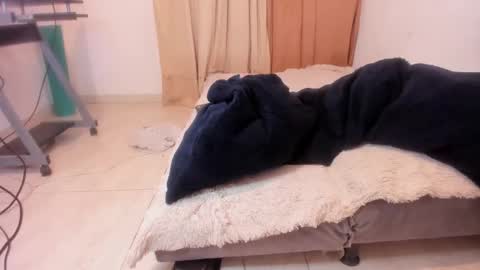 Snapshot of aliciapalmer19 chatting on February 7, 2025, 11:24 pm Alis 3 independent model 3 online show from February 7, 2025, 11:24 pm