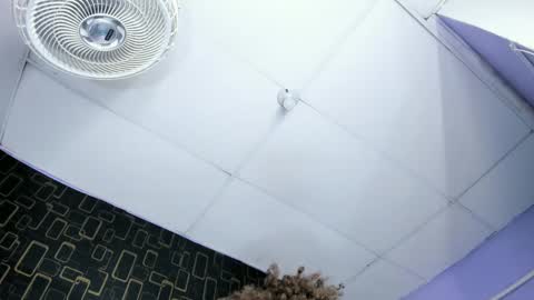 alika online show from February 21, 2025, 1:44 pm