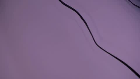 alison smith online show from December 5, 2024, 12:11 pm