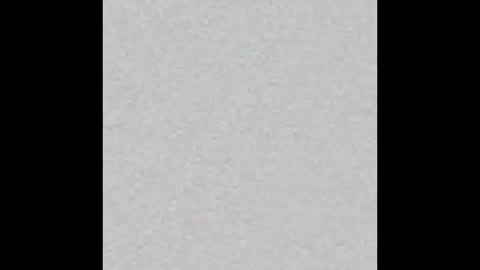 Alisse online show from February 23, 2026, 12:13 pm