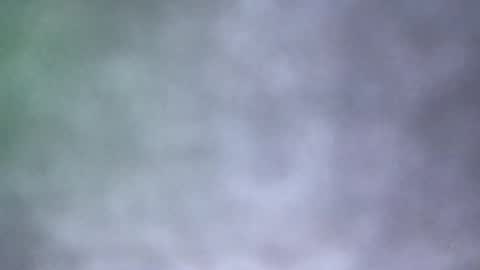 Snapshot of all_most_sane chatting on May 18, 2026, 4:02 pm all_most_sane online show from May 18, 2026, 4:02 pm