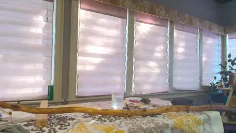 wishlist on bio online show from October 25, 2025, 7:08 pm