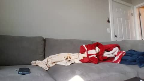 Snapshot of allylove2626 chatting on September 9, 2025, 4:39 pm allylove2626 online show from September 9, 2025, 4:39 pm