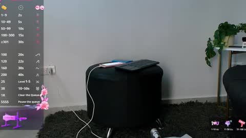 Snapshot of allymdo chatting on November 19, 2025, 11:43 am allymdo online show from November 19, 2025, 11:43 am