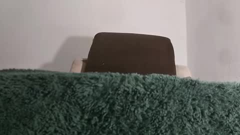 alotofcream4u online show from November 21, 2025, 5:28 am