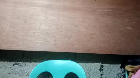 altheahot_asian online show from December 19, 2024, 11:57 pm